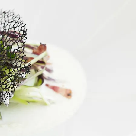 Imperiale 3* Spotorno